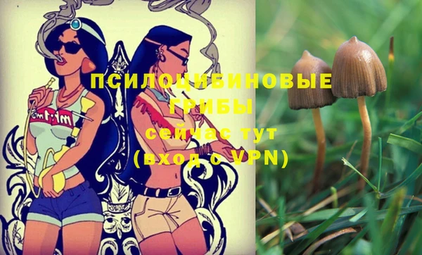 spice Михайлов