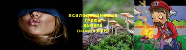 spice Михайлов