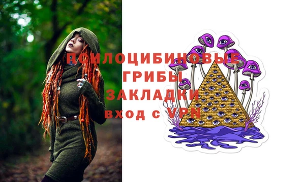 a pvp Медногорск