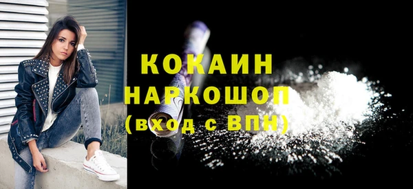 индика Каменск-Шахтинский
