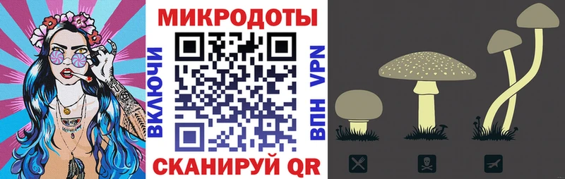 Галлюциногенные грибы Psilocybe Райчихинск